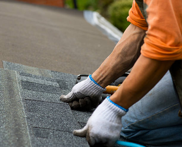 Best Roof Gutter Cleaning  in Neah Bay, WA