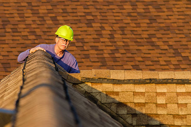 Best Roof Repair Services  in Neah Bay, WA