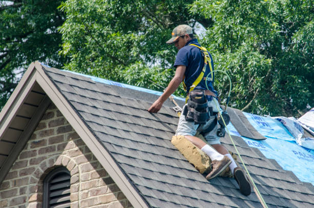 Best New Roof Installation  in Neah Bay, WA